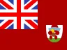 flag 3 -  Dentally