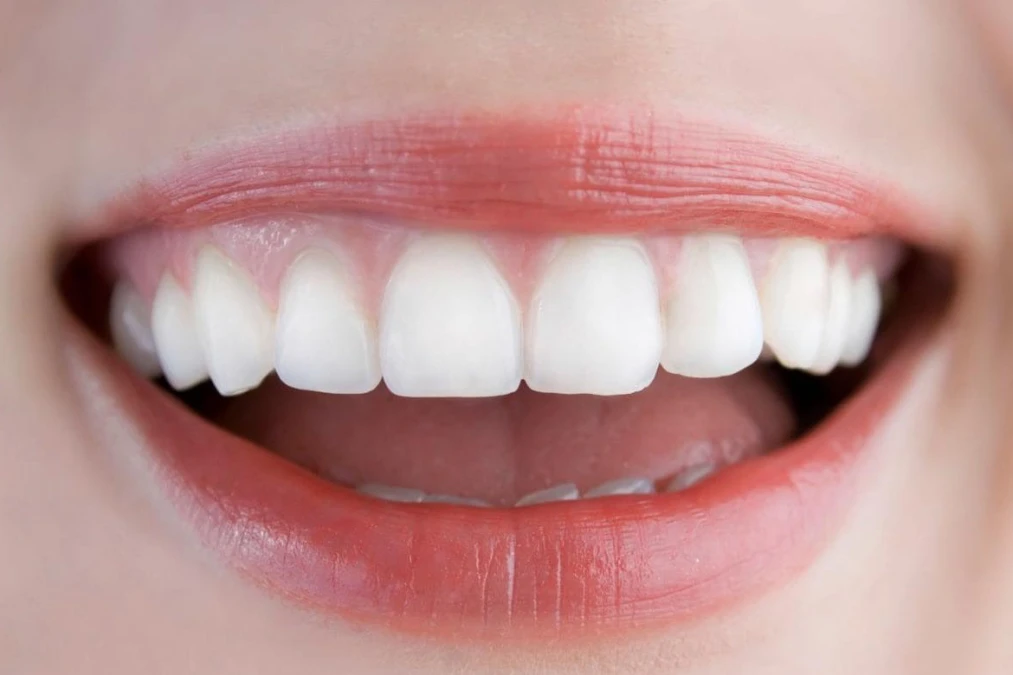 Che Teeth Know Your Teeth