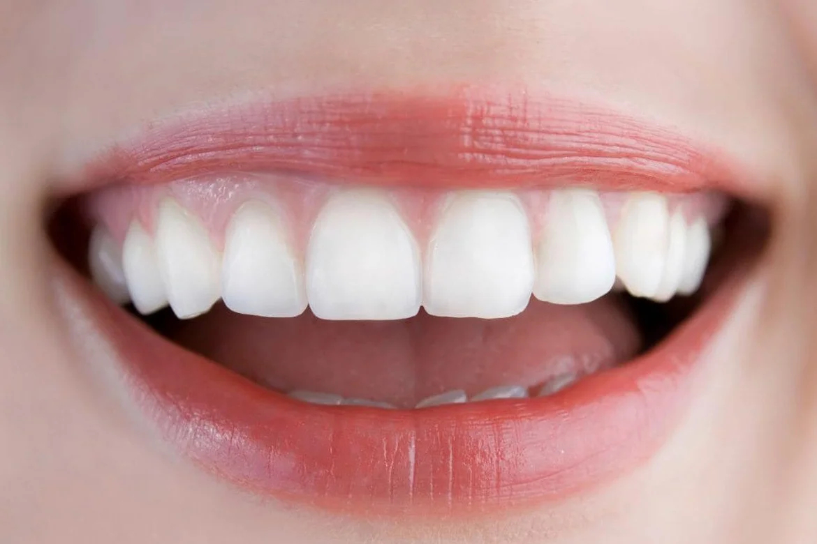 Know Your Teeth -  Dentally