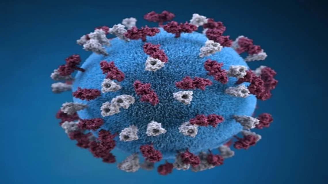 SHOULD YOU GO TO THE DENTISTDURING THE CORONAVIRUS PANDEMIC? -  Dentally