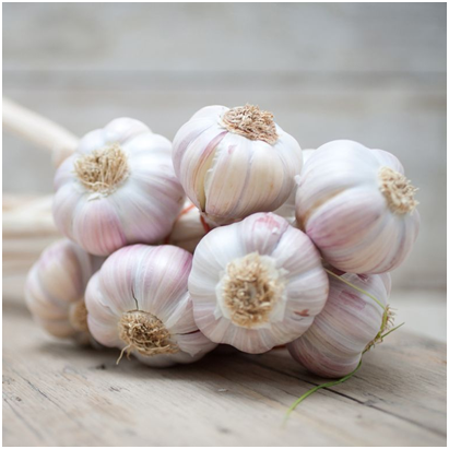 6. Garlic: Garlic has an active ingredient in the form of Acillin, which has natural antibacterial properties. Thus it is quite effective in tooth pain control. Garlic clove can be crushed tocreate a paste and applied in the affected area or raw garlic can be chewed slowly in the pain area.