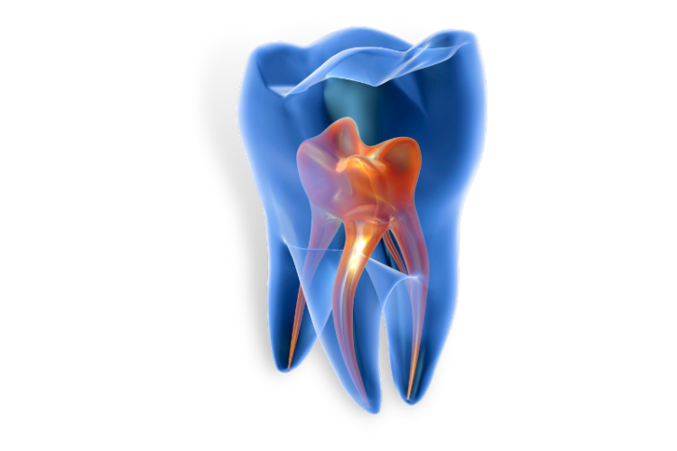 Single-Tooth Dental Implants: Replacing Individual Missing Teeth