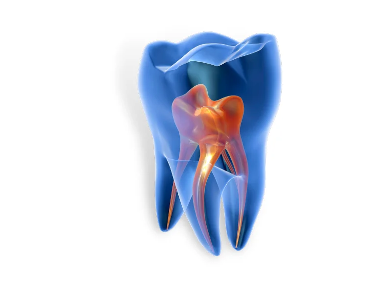 Single-Tooth Dental Implants: Replacing Individual Missing Teeth -  Dentally